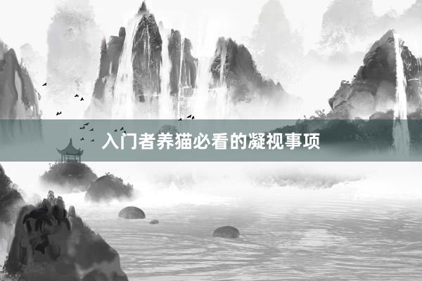 入门者养猫必看的凝视事项