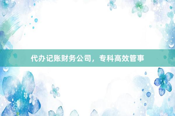 代办记账财务公司，专科高效管事